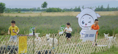 微信图片_20190917191619.gif