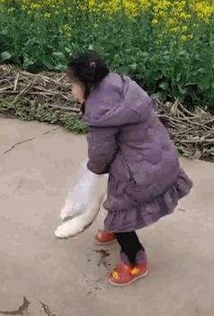 微信图片_20200317180855.gif