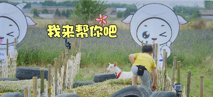 微信图片_20190917191624.gif