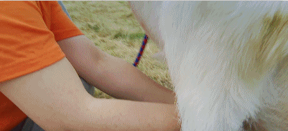 微信图片_20190917191615.gif